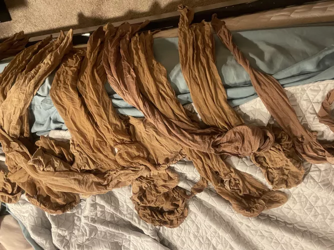 [selling] look at all these pantyhose I have hade the crotch ripped open to either play with myself or had sex in. 10 pairs.