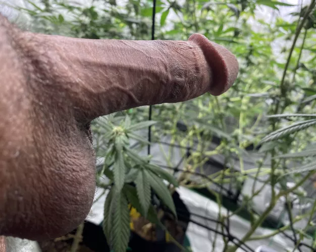 Skip work to[m]orrow… let’s play in the garden 🍃😉