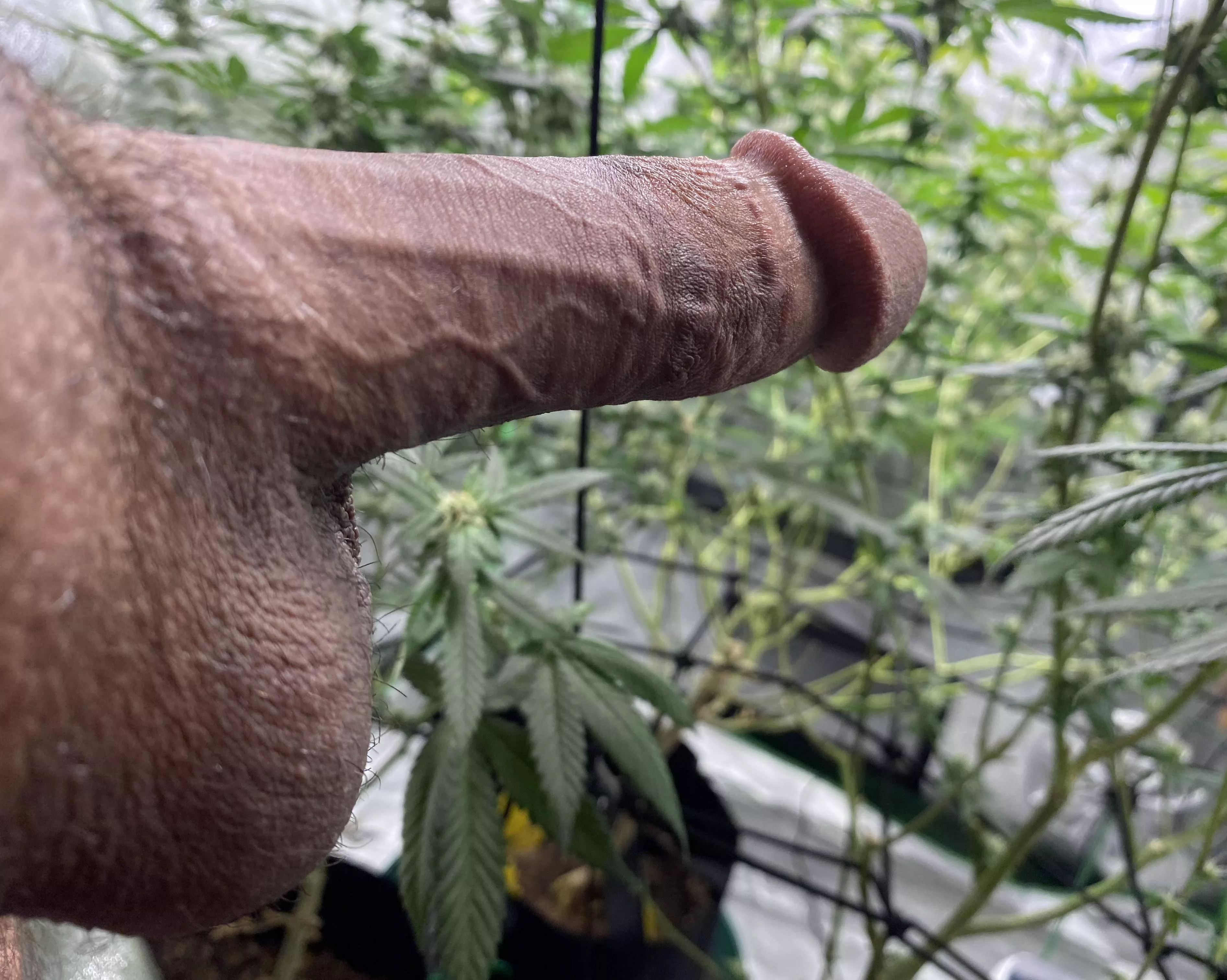 Skip work to[m]orrow… let’s play in the garden 🍃😉