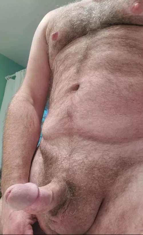 43. More bear here...but love otters. Hairy 🤤
