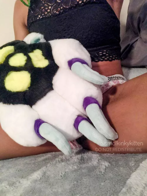 Any paw lovers? How about a hint of size difference as well? ~ These massive paws always get me riled up hufff🥴