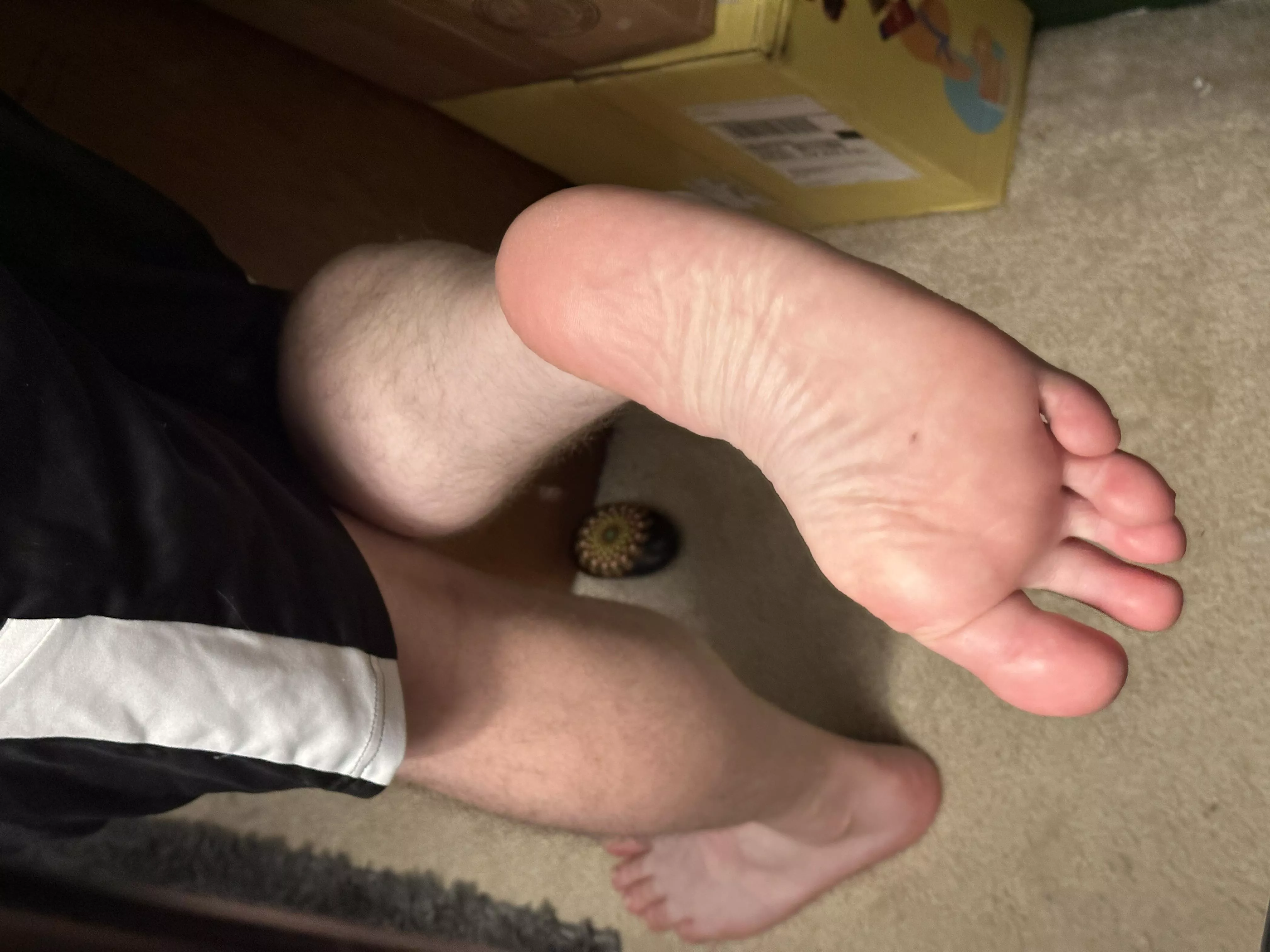 Come on, need a boy to give ‘em a little lick