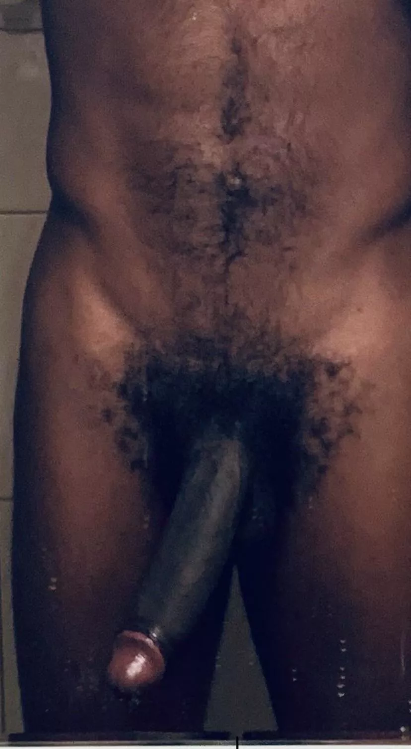 growing the bush back