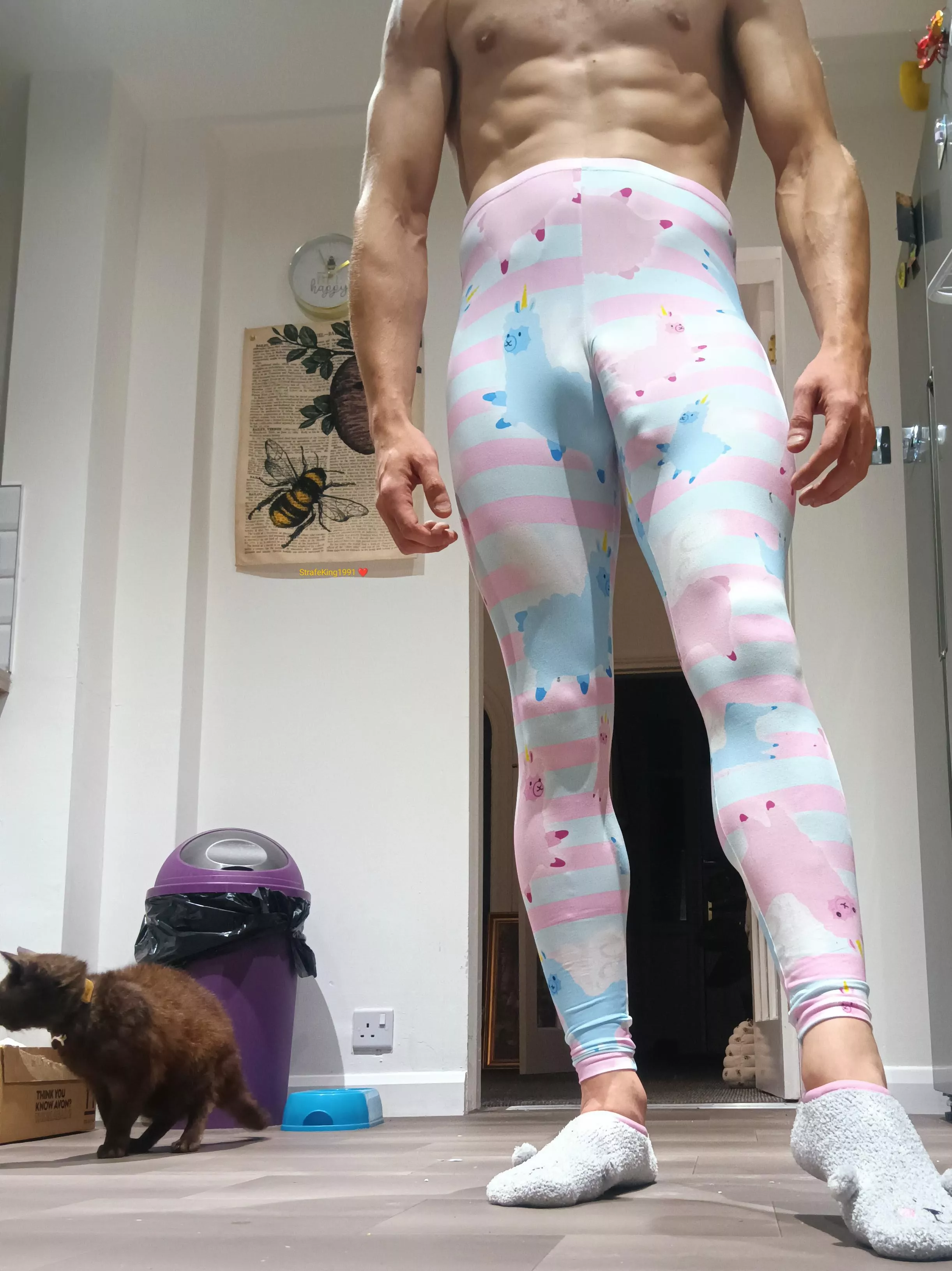 Mitsy & Strafe 🧑❤️😼