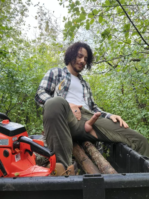 Not all the wood out there came from trees 😋