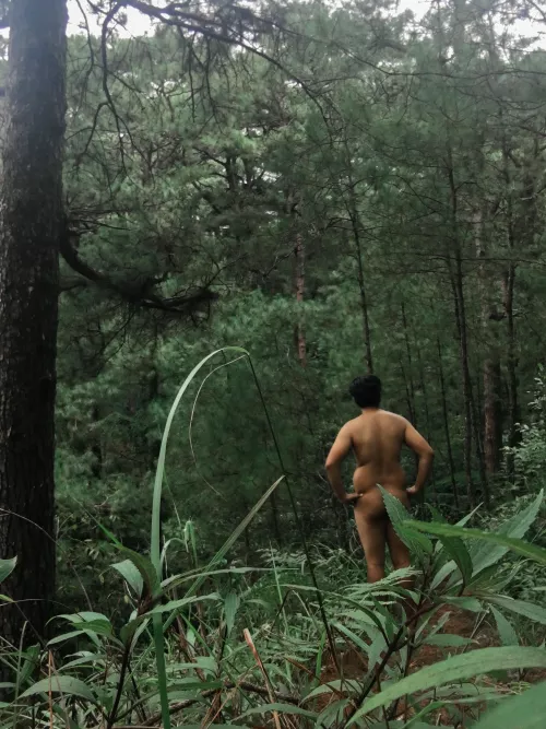 the little leaf doesn't want you to see my butt