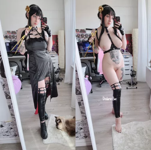 Wanna be my Loid-san ? [F] 🖤