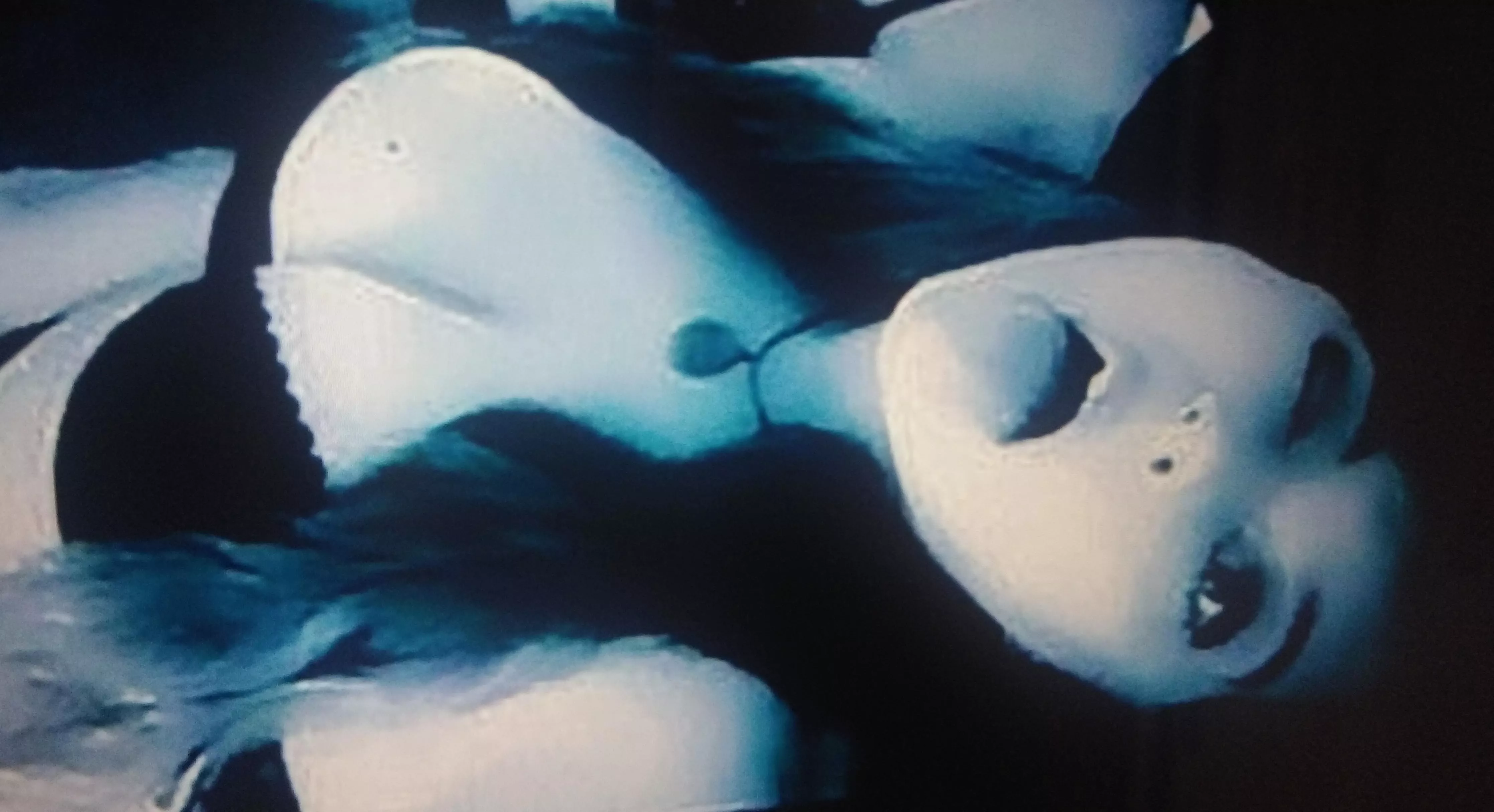 worthy of a tribute? 🍆👀 I wanna see it 😋