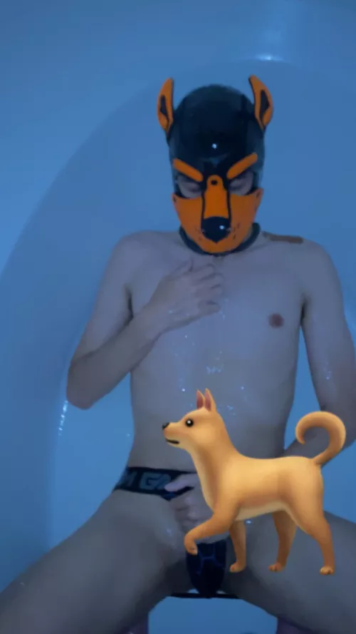 A little puppy WS fun