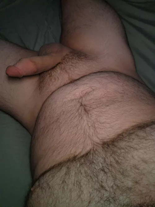 I could use a cuddle buddy