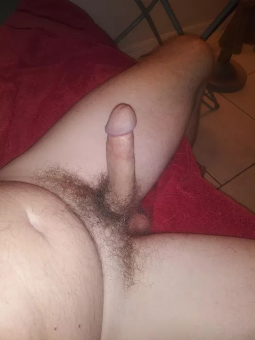 nice hard penis to suck