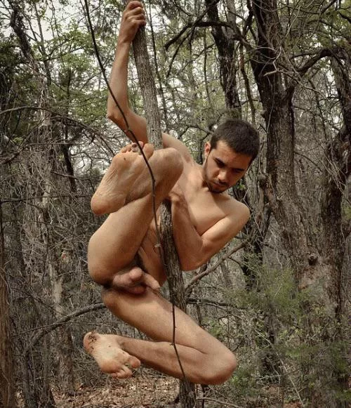 “Tree dweller” …