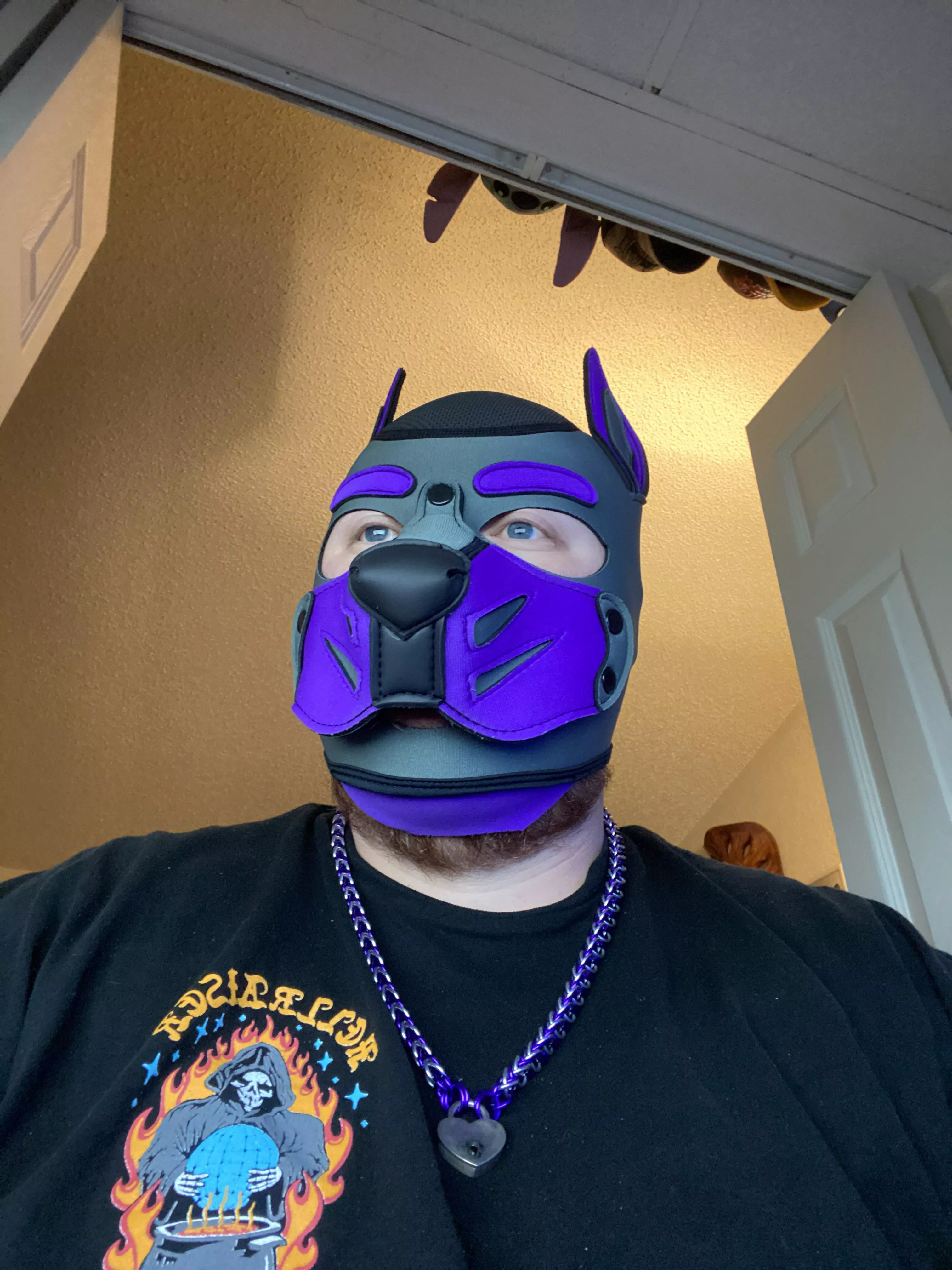 When you gotta make a resume…… but you’re a dog