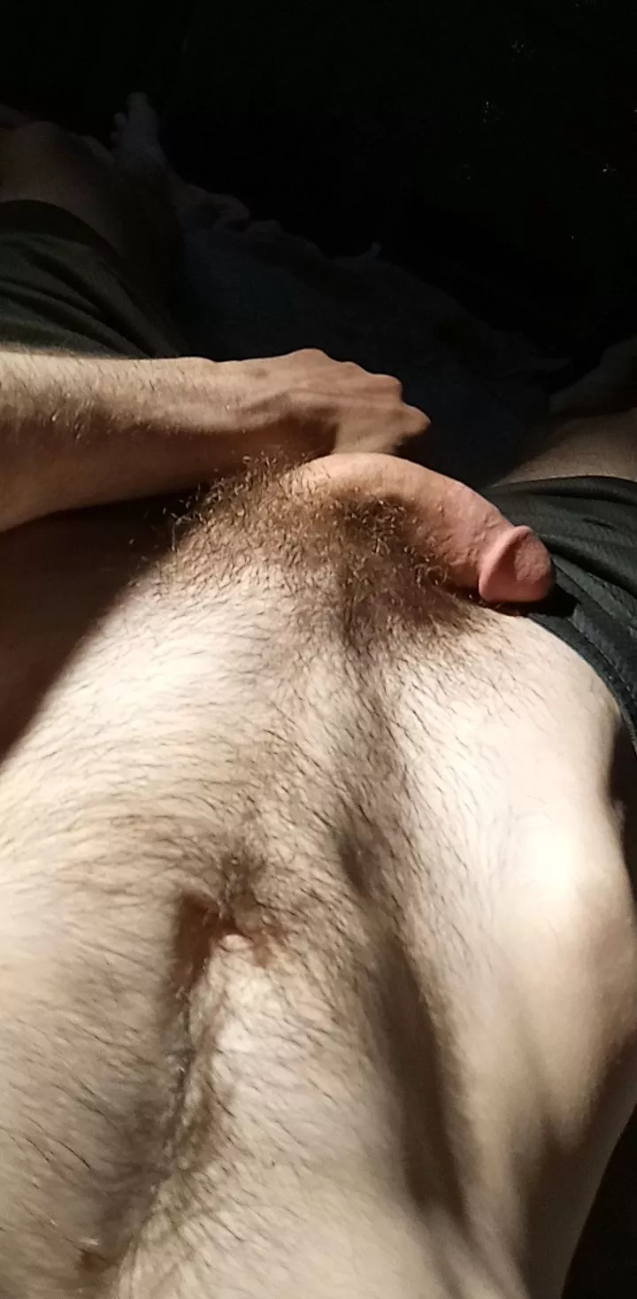 would you pull em down if this is what you'd see