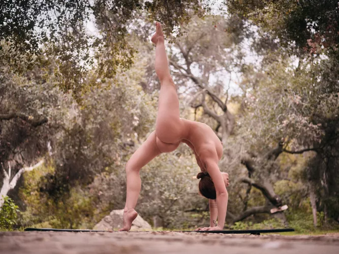 Yoga in the woods 🌲