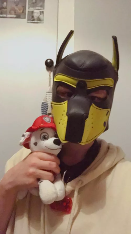 Any other pups love Paw Patrol??🐾