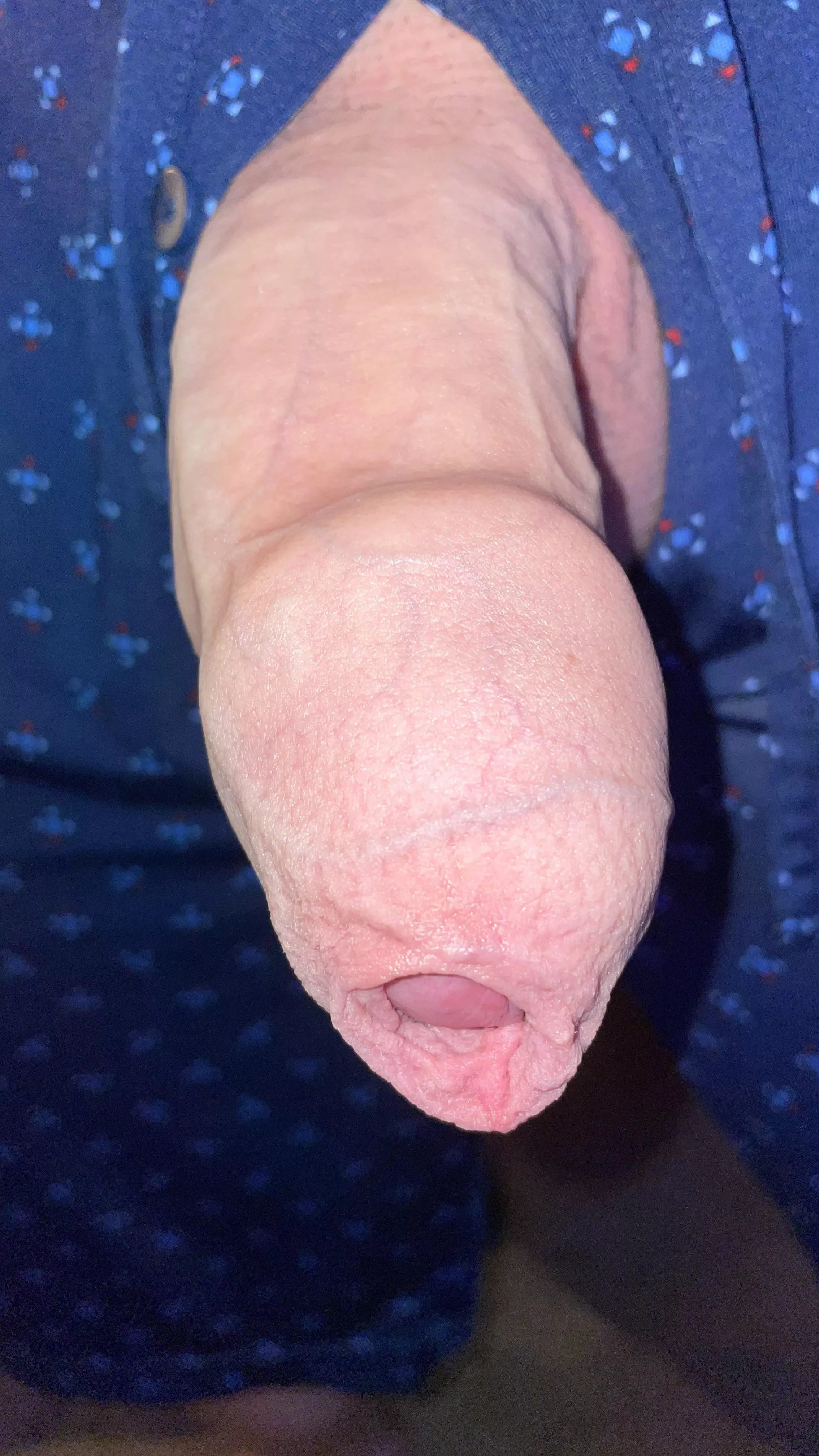 I hope you appreciate this foreskin covered cock