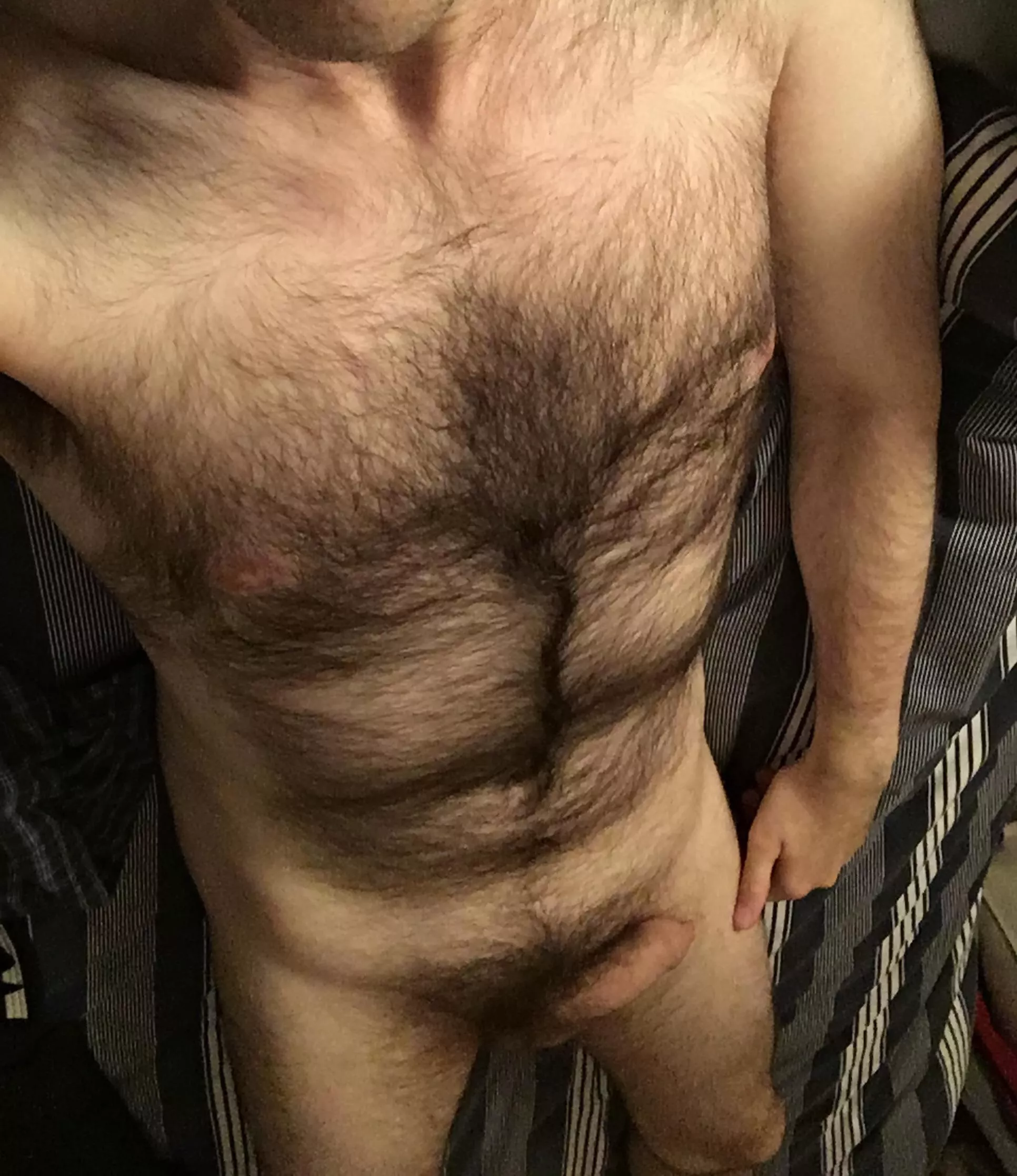 I’ve realised that people only really engage with my pics when I show either my chest or my dick. So here you all are, for the first time, both together! (41)