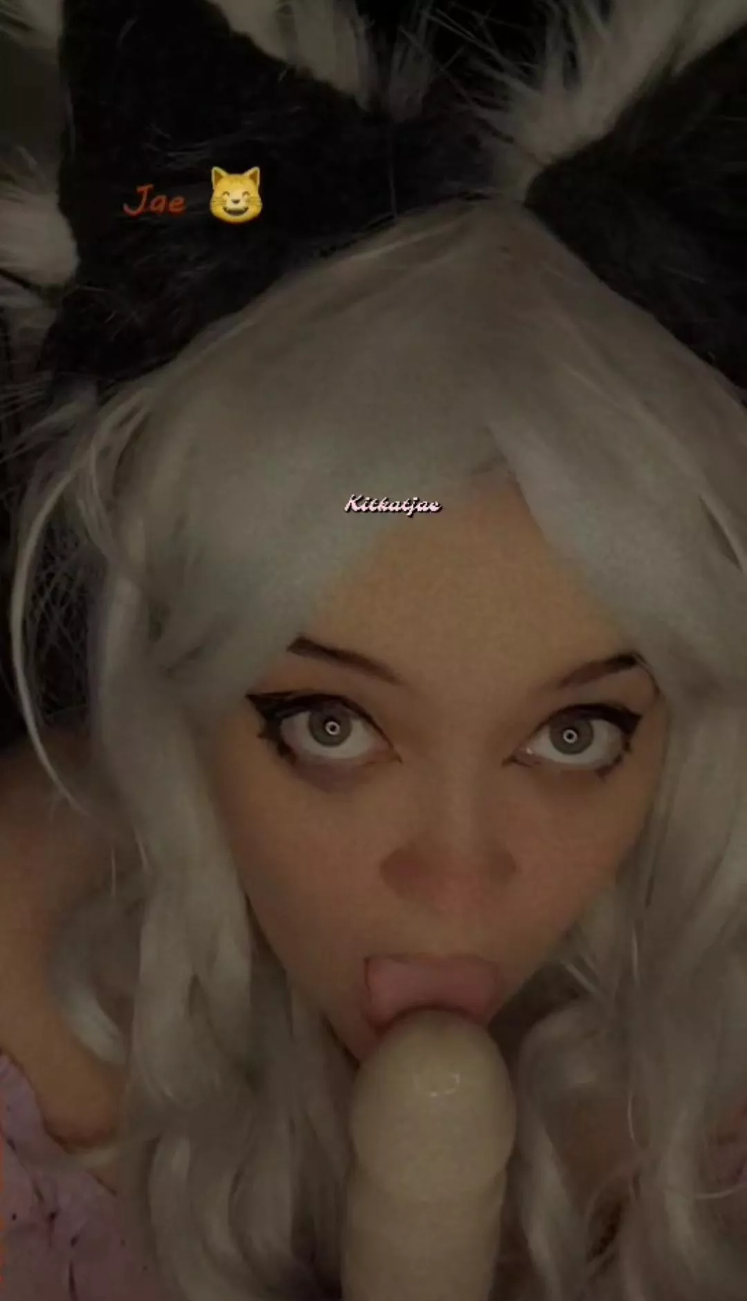 Kitty lick lick licks 😋