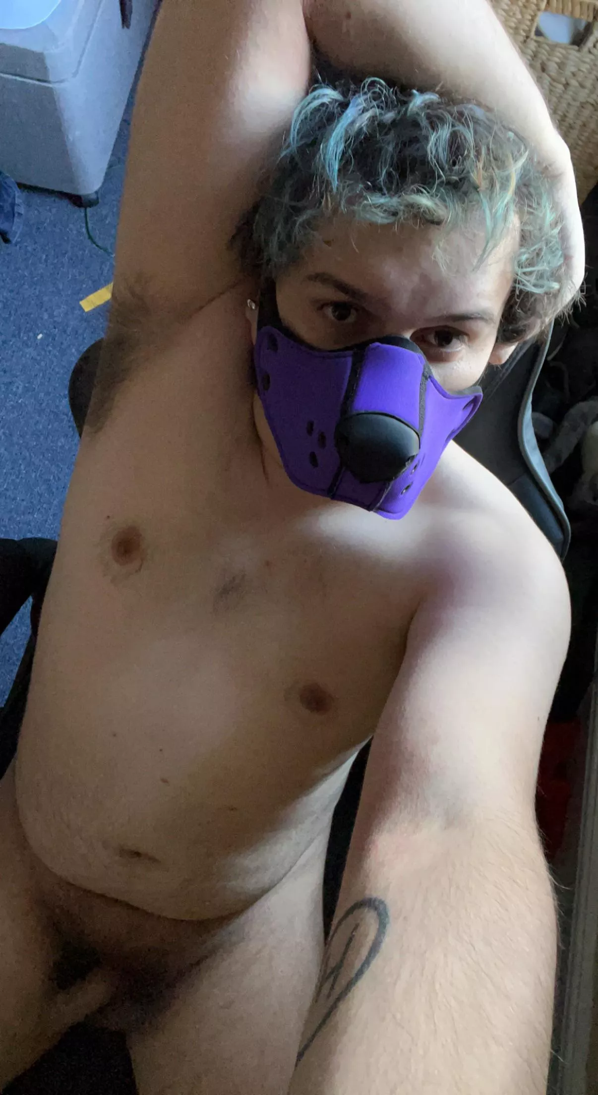 Kyber is busy gaming, anyone wanna get under the desk?