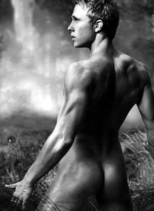 “Misty forest” …