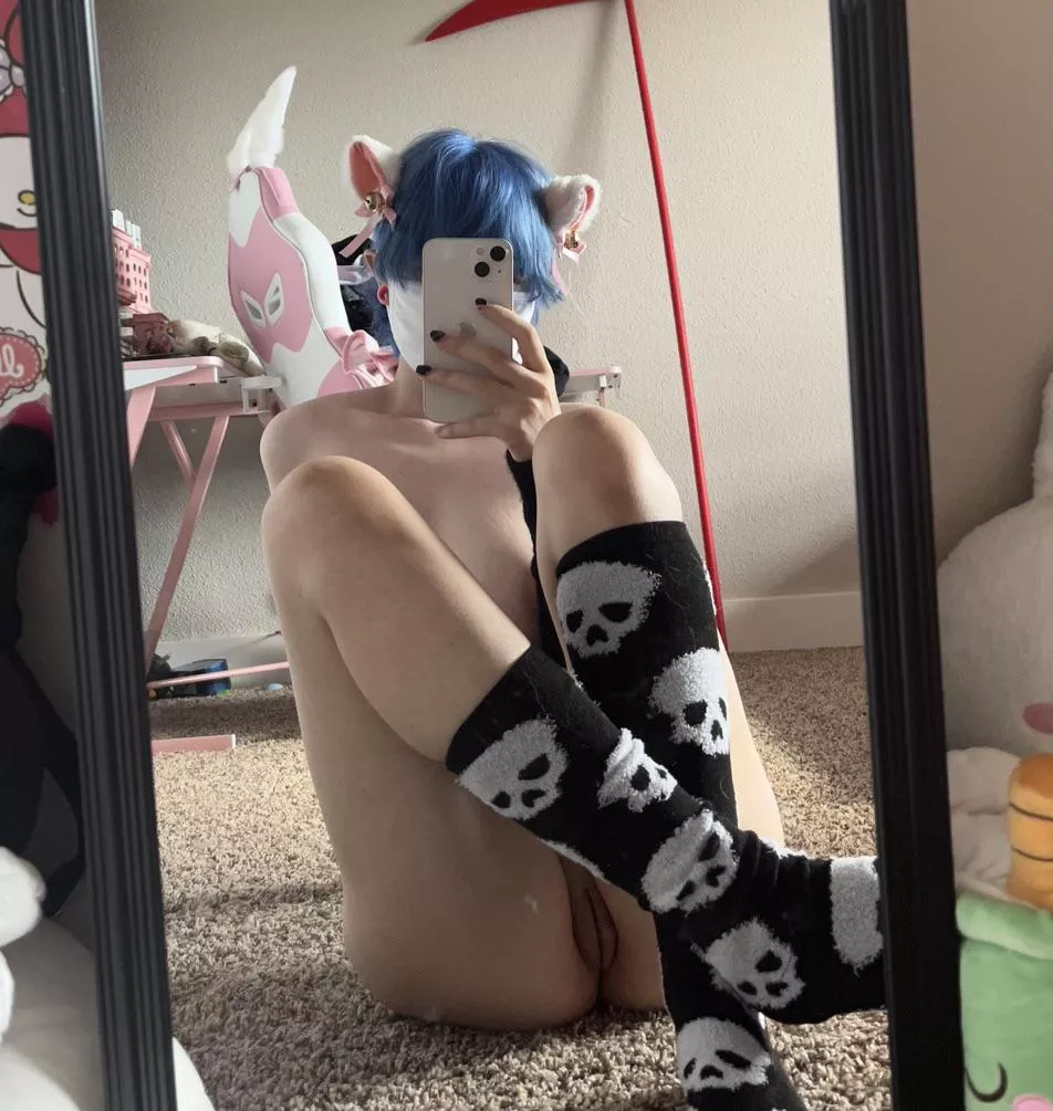 this lil kitty wants a good breeding