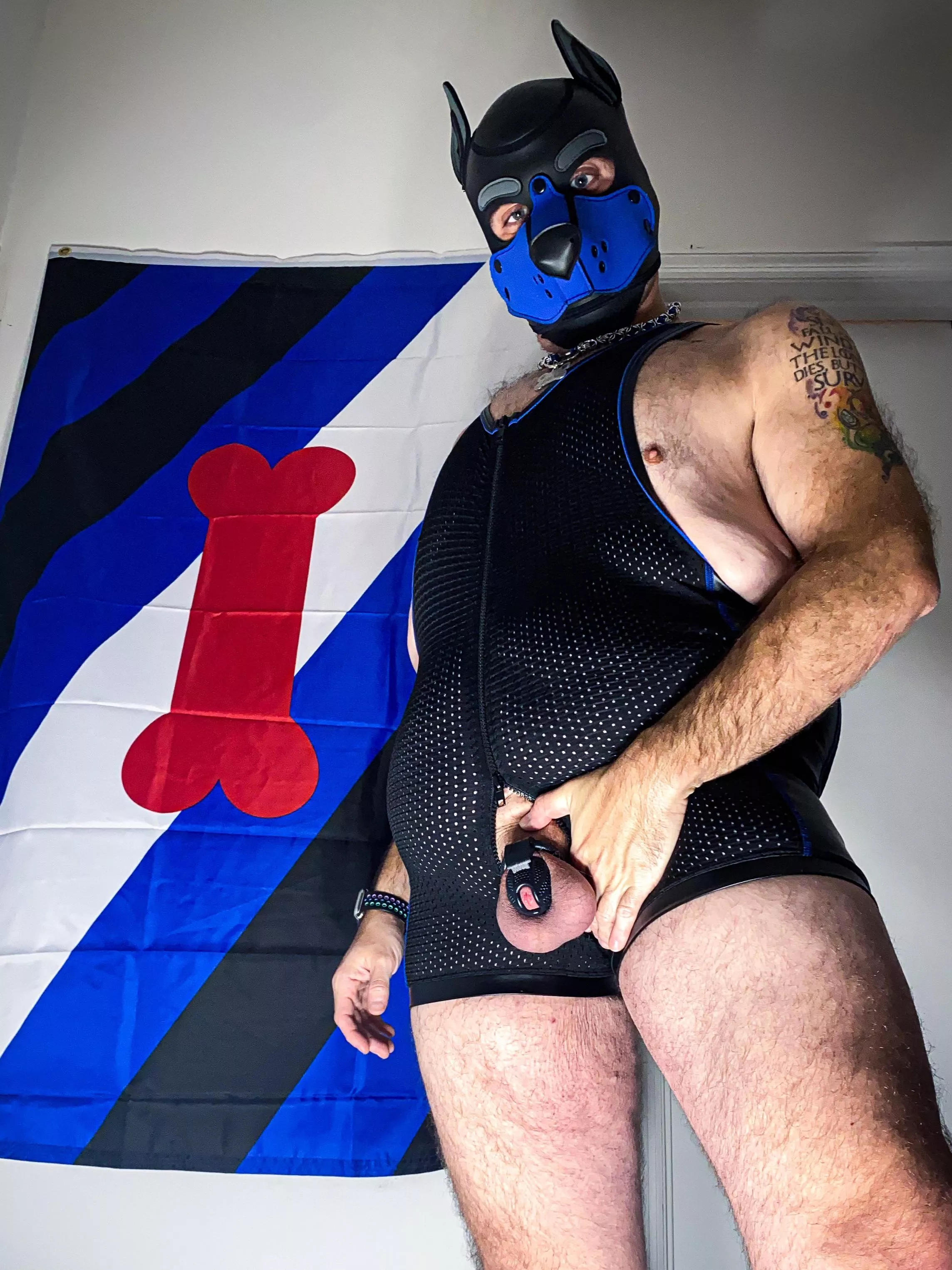 You’d better get to work, puppy…this cage isn’t going to tease itself.