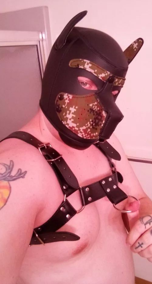 Awoo looking to bury my 🦴