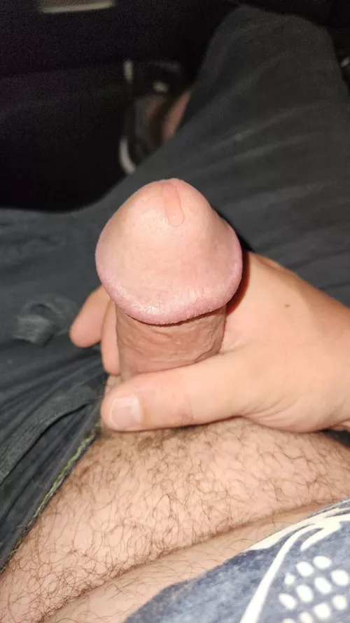 Dripping in the car for a fellow redditor