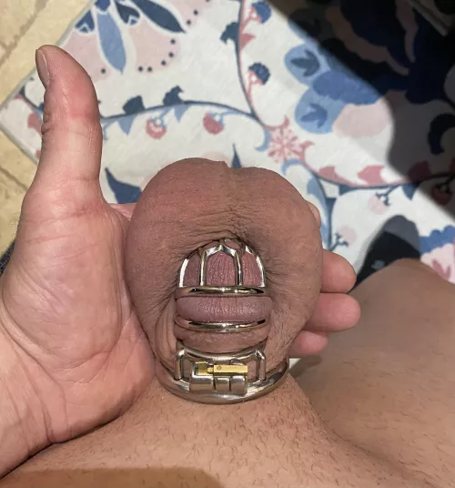 Home from work and can finally let it out and relax. Let it out in the cage that is.