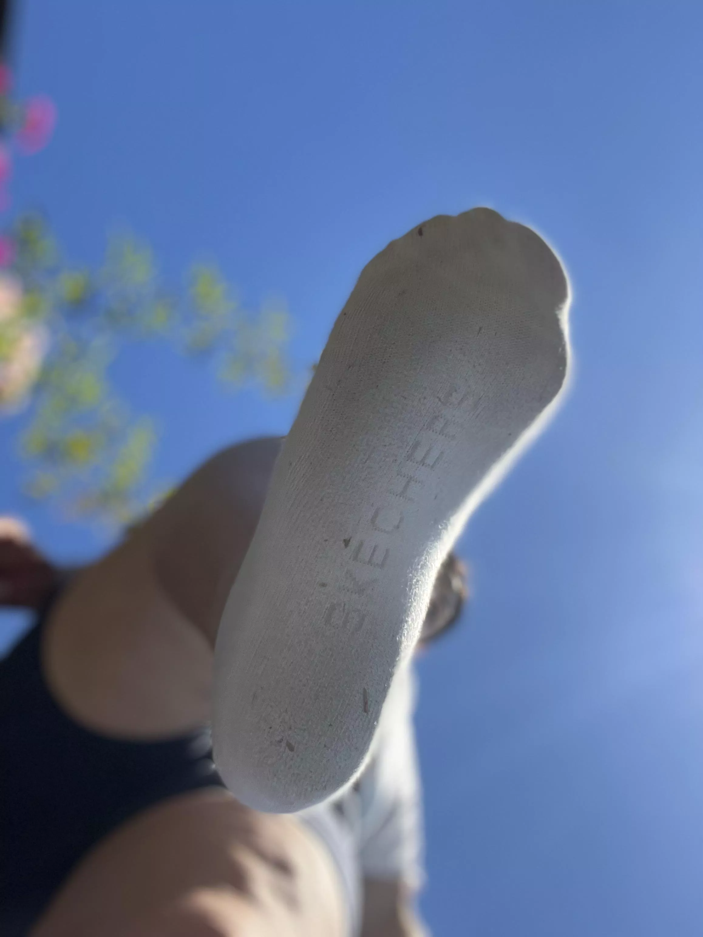 I’ve heard the view is much nicer from down there!