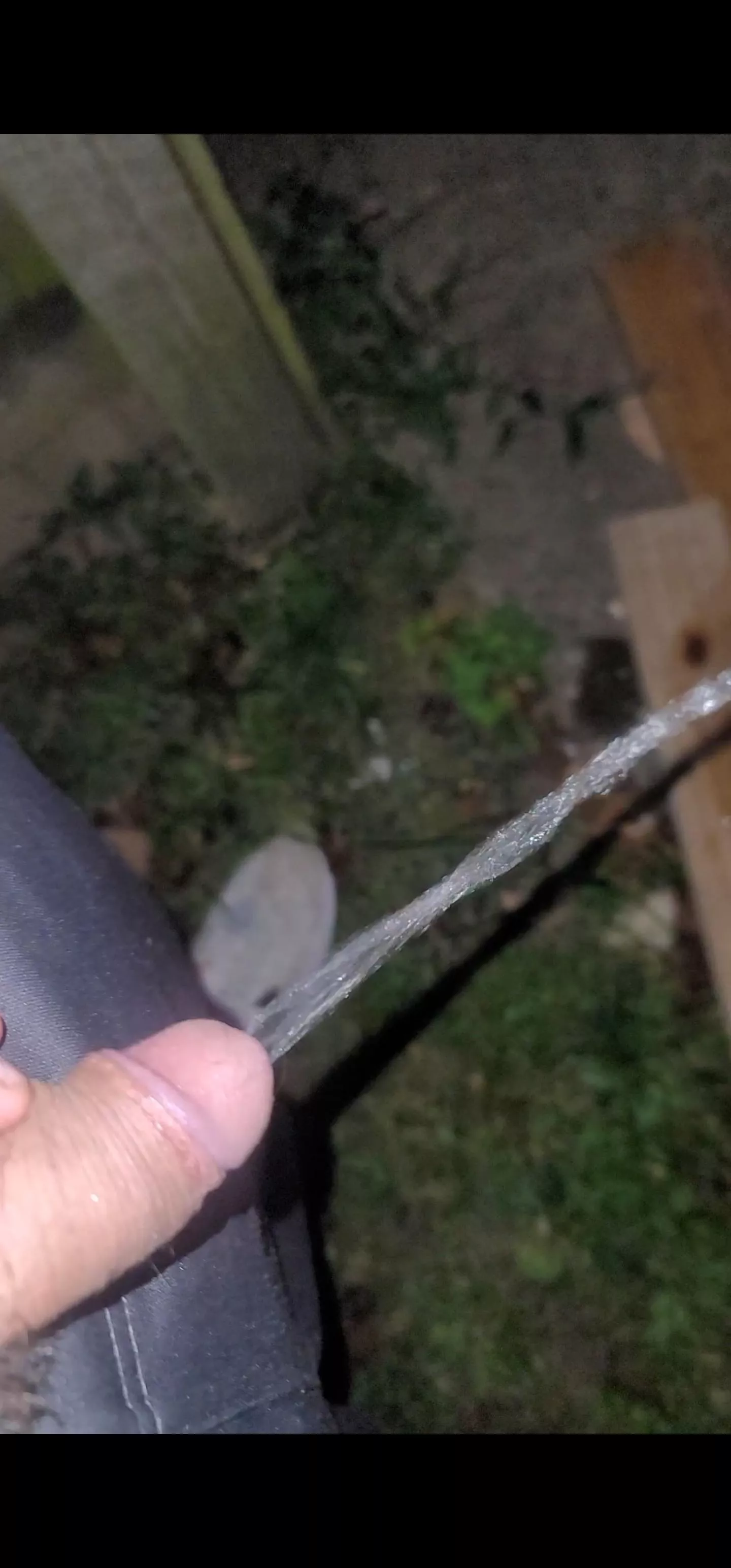 Anyone wanna see more of my out front in my gray sweatpants??