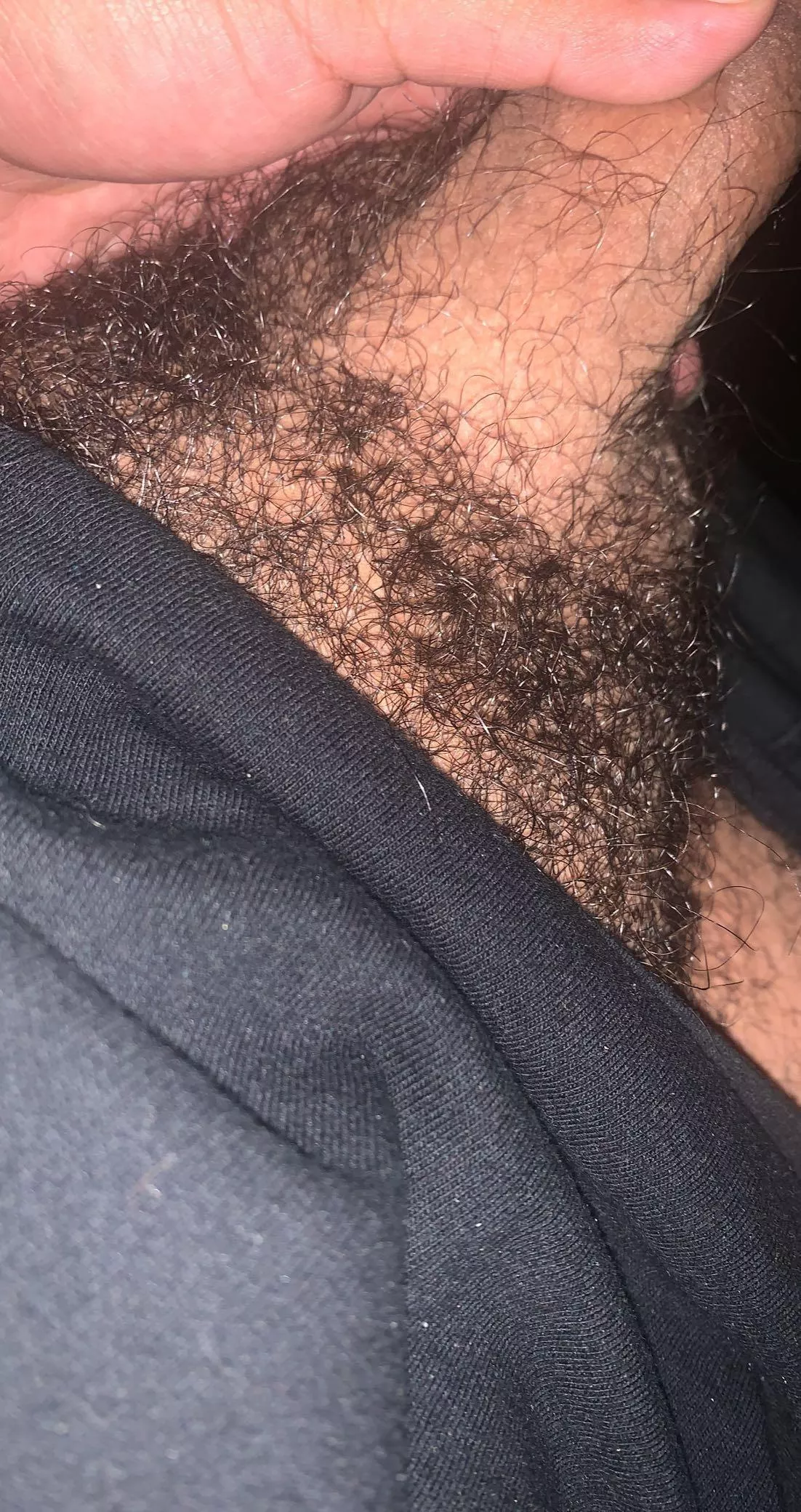 Been living bush latel, I never wanna shave it
