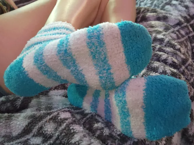 Fuzzy socks 😋