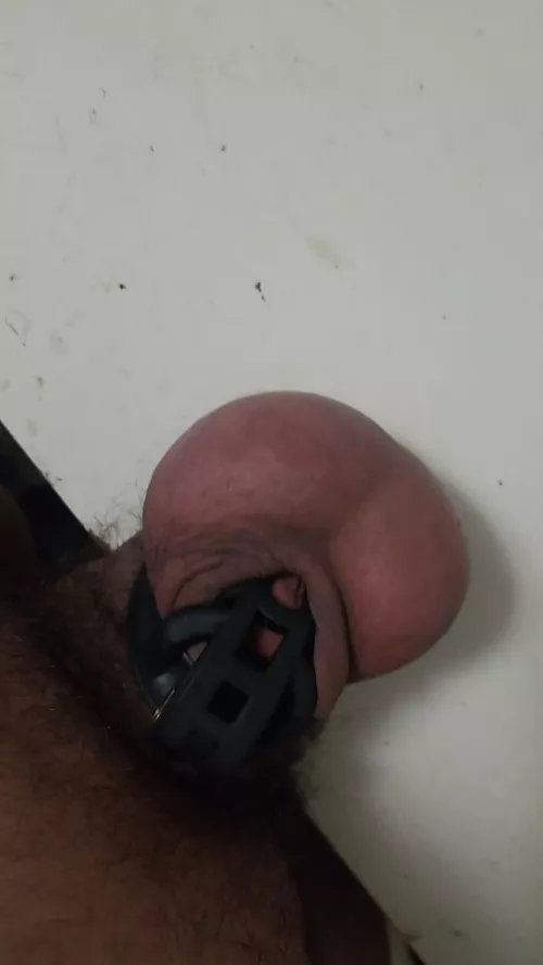 getting ready for my first locktober ,should i shave or prep myself in any way ?