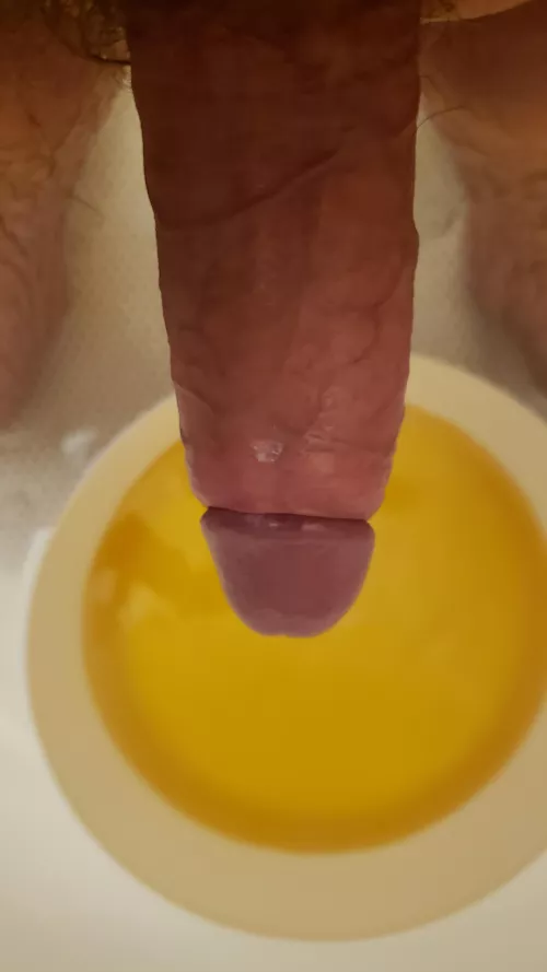 I hope you're thirsty for (m)e, because your head is going under in this bowl of piss while I take your holes. Drink deeply filthy girl