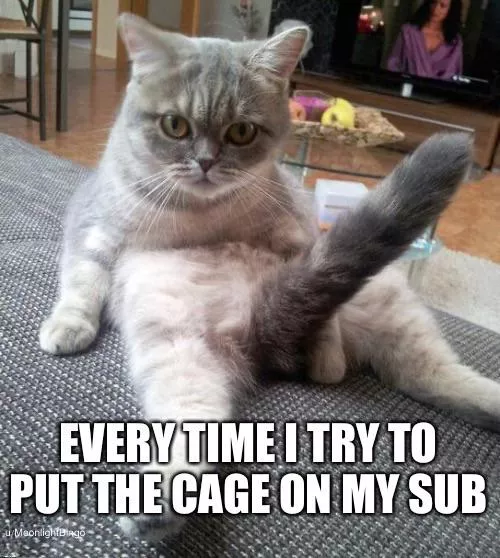 Keyholder, keyholder, the first of October 🤭