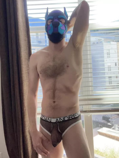 Lets put on a show for those looking through my window