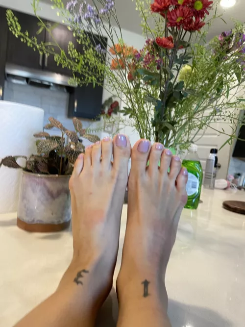 lilac toes