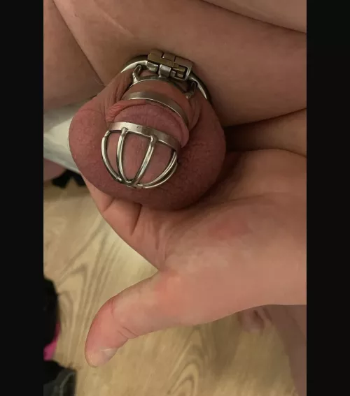 Locktober begins, strictly enforced by my Dom 😌