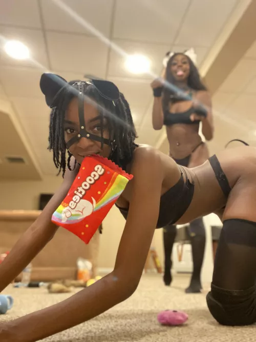 Hehe like my new toy?🐾