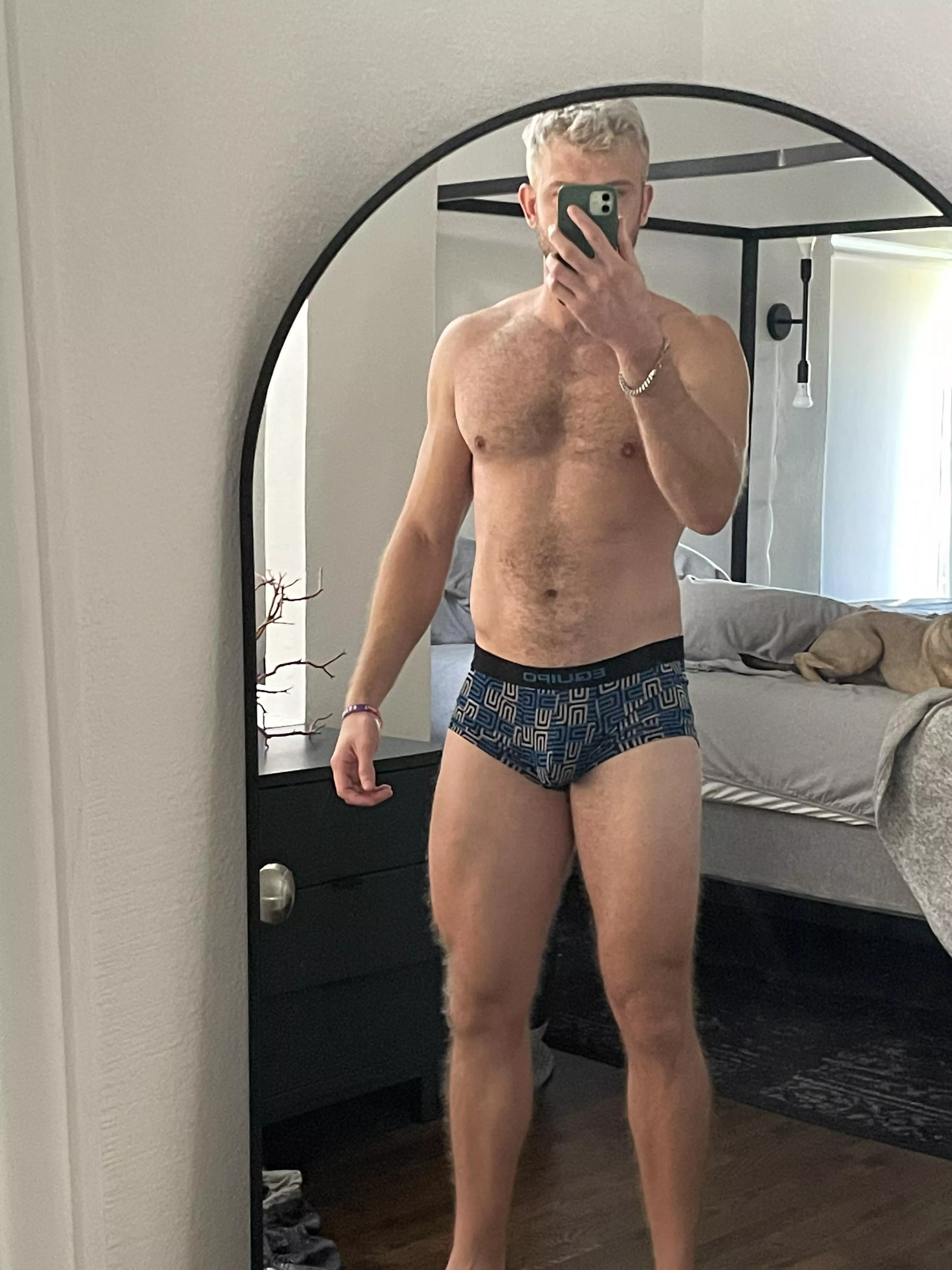 Pay no attention to the dog in the background