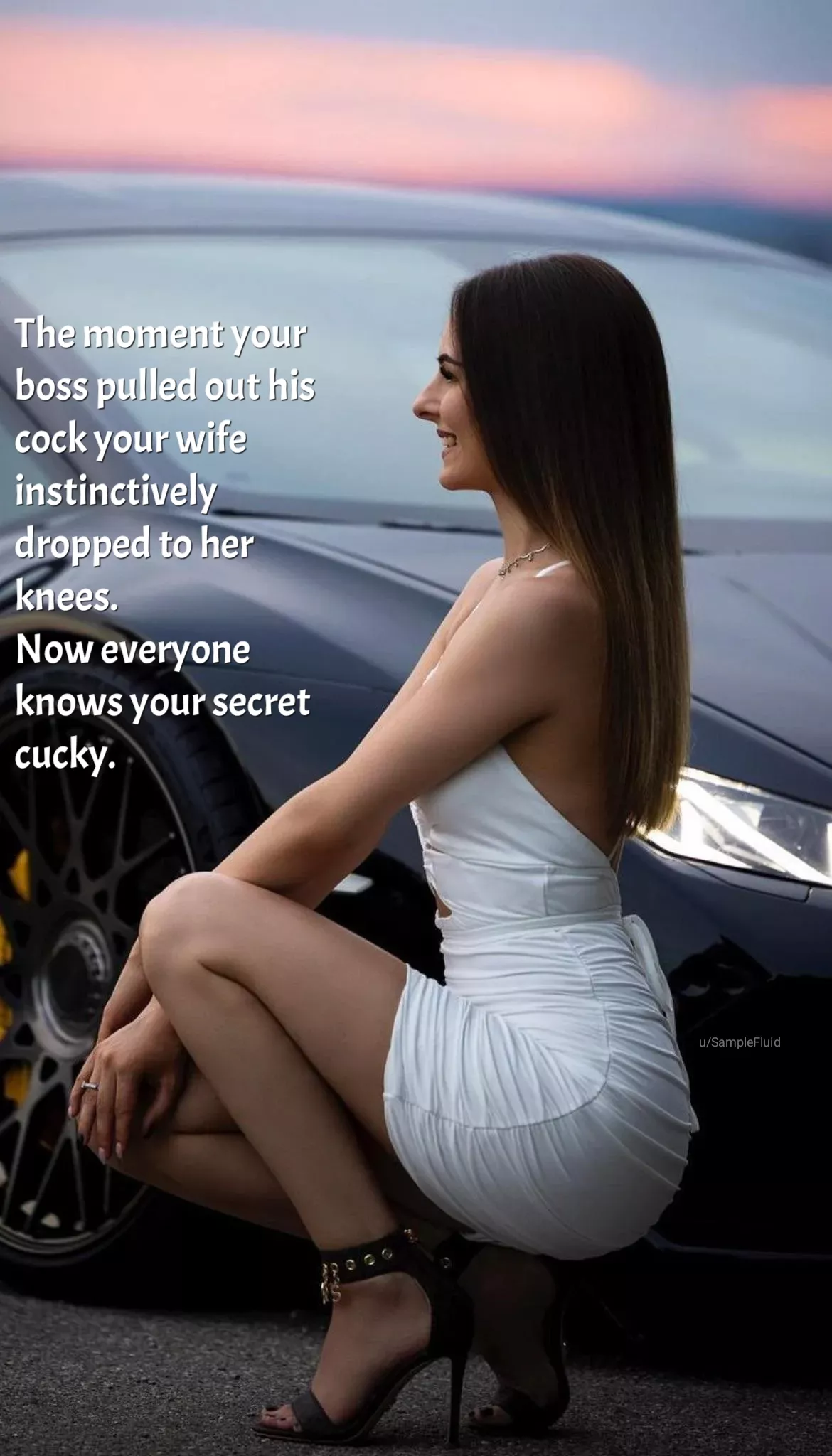 Shouldn't have brought her to the office party.