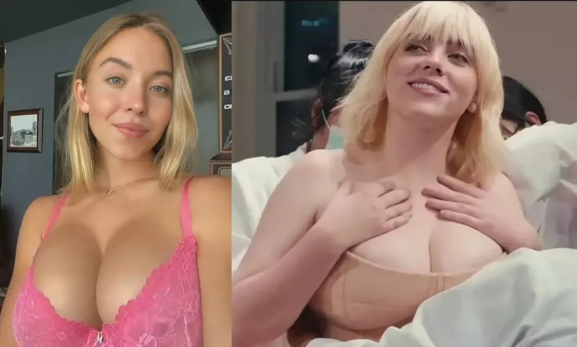 What do you think are their bra sizes (I'm guessing above D) and who has the bigger ones (just curious)?