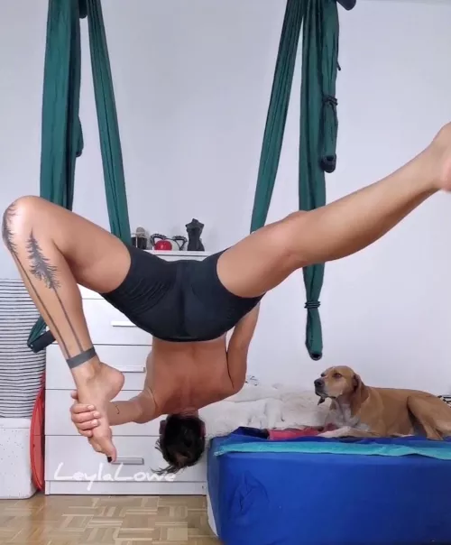 yoga hammock is the best 😉