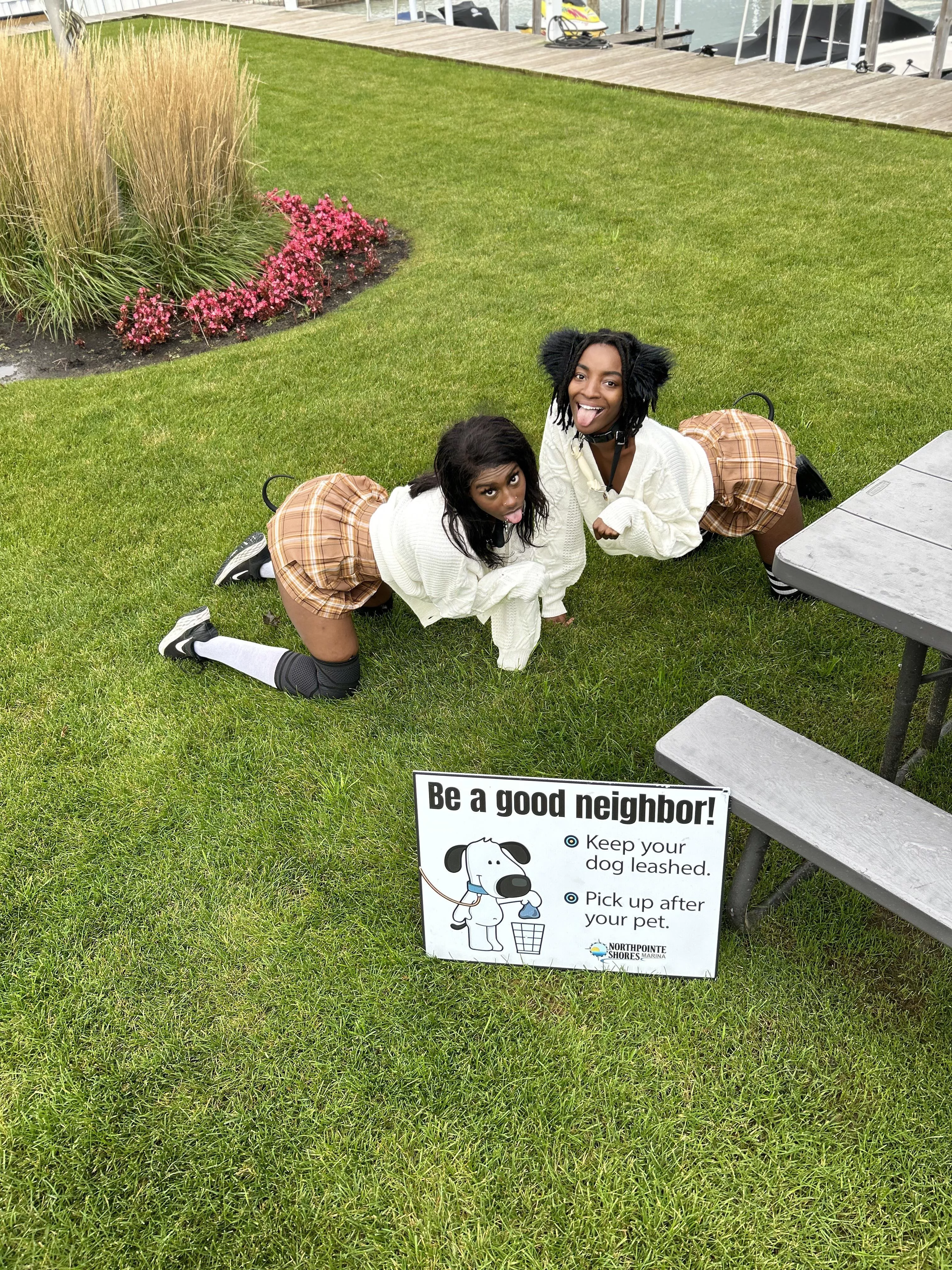 Be a good neighbor!🐾💕