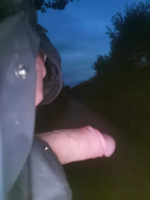 got a bit horny on a walk