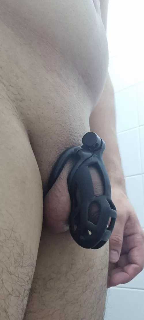 how do i know if its time to downgrade the cage size