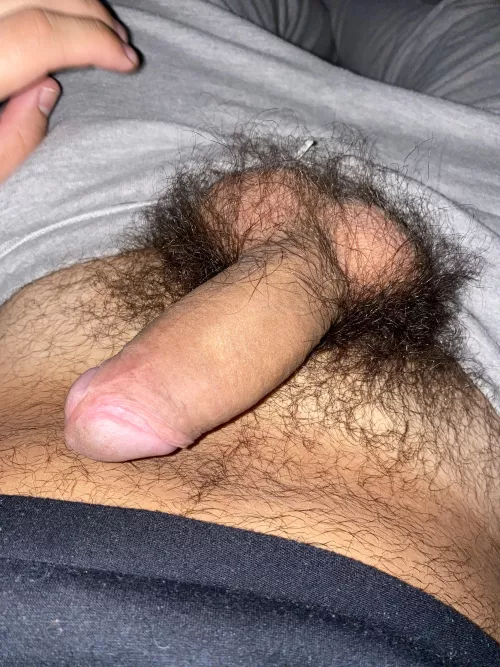 If u like a hairy cock and balls u can suck mine 👅