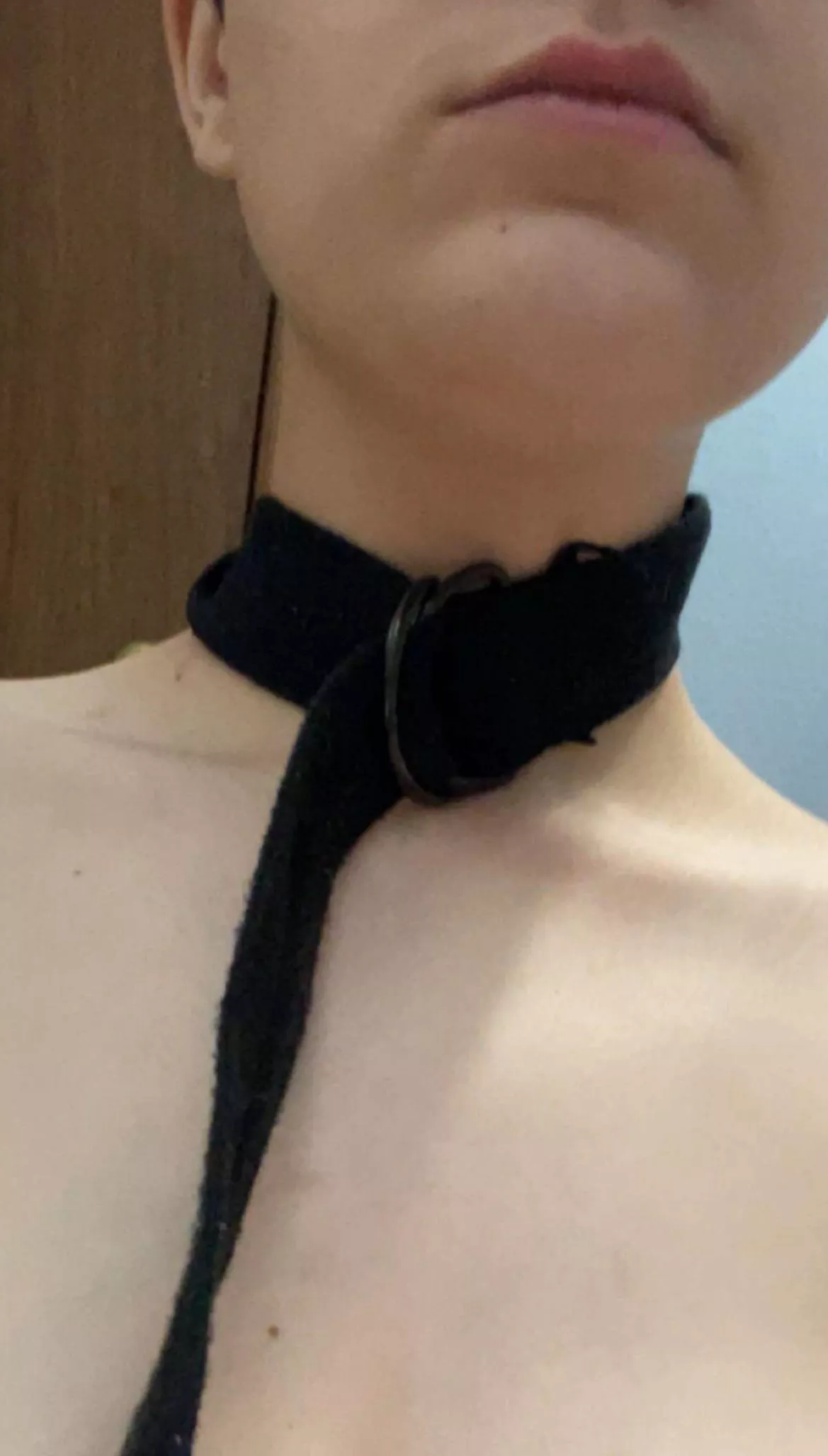 I’m an amateur, 18 year old puppy (or kitty) who is looking for an owner. I’d love some advise on how to be a good pet <3